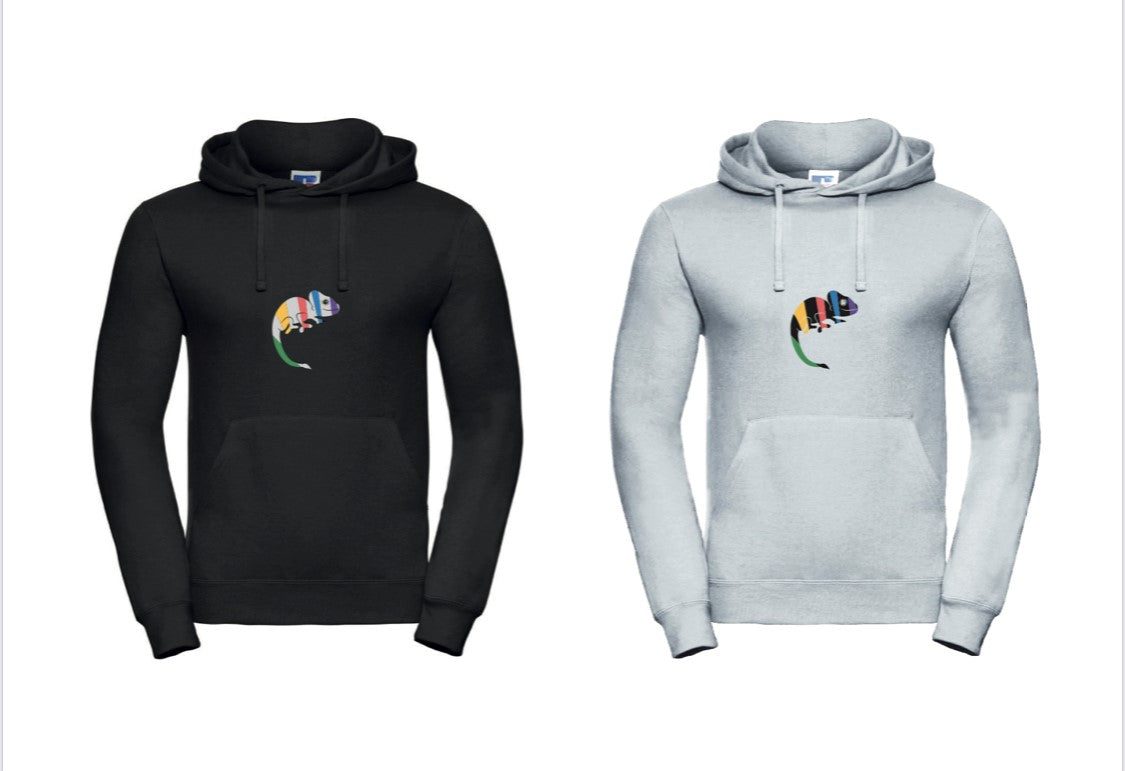 Hoodie Lion Colorful Edition